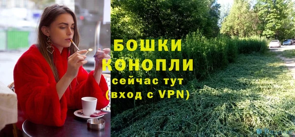 индика Вязники