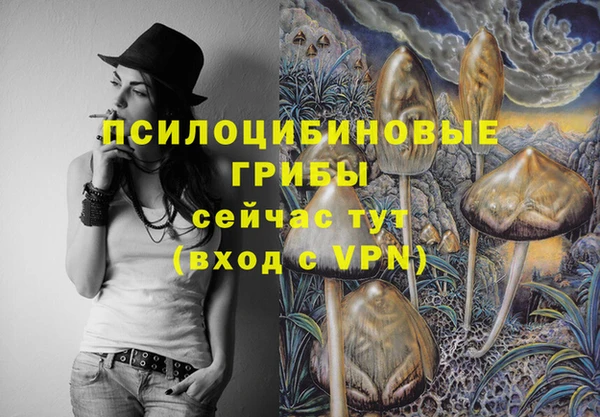 винт Вяземский