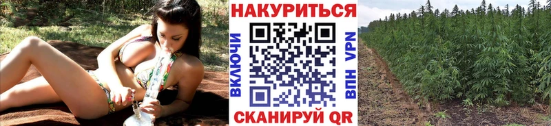 Канабис SATIVA & INDICA  где купить наркотик  Усть-Кут 